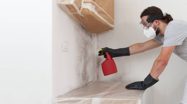 Professional Mold Removal technician working in Bethel, NC