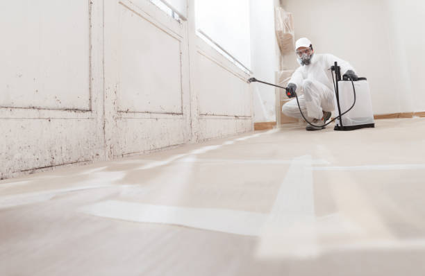 24/7 Emergency Mold Removal experts in Bethel, NC