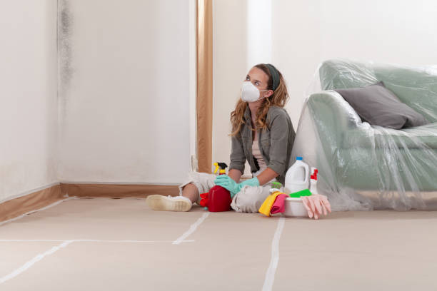 Reliable Mold Removal contractor in Bethel, NC by 24 Hour Mold Removal